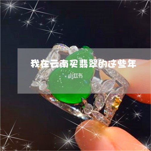 我在云南买翡翠的这些年/2023070955048