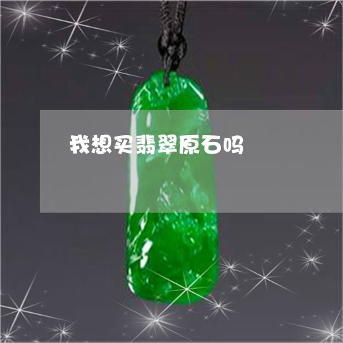 我想买翡翠原石吗/2023062028382