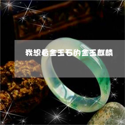 我想看金玉石的金玉麒麟/2023110656159