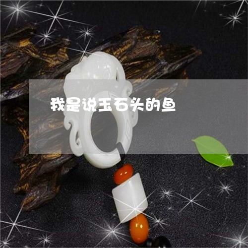 我是说玉石头的鱼/2023062041584