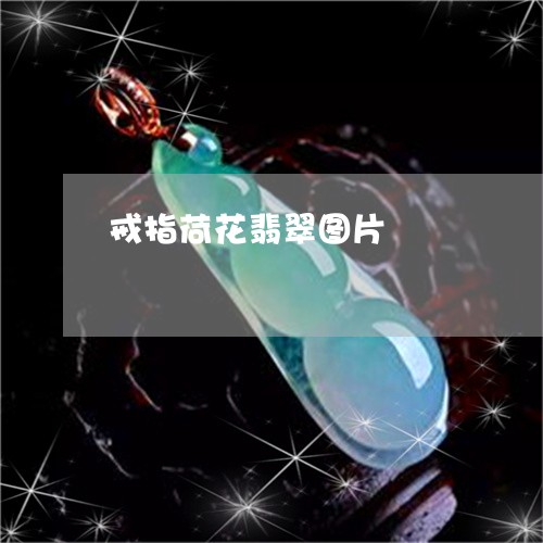 戒指荷花翡翠图片/2023122041795