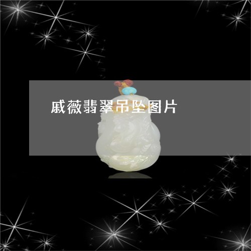 戚薇翡翠吊坠图片/2023122035257