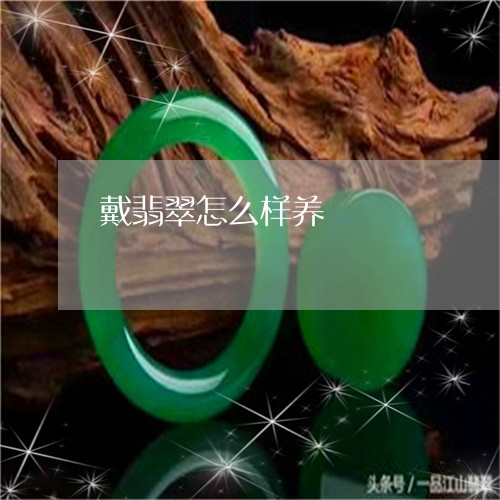 戴翡翠怎么样养/2023082557269