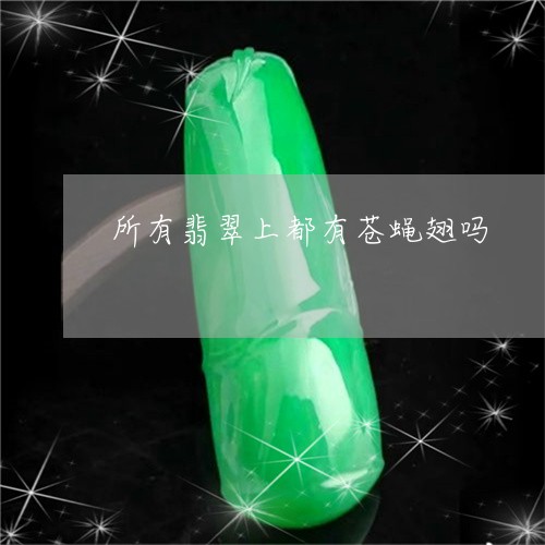 所有翡翠上都有苍蝇翅吗/2023071086949