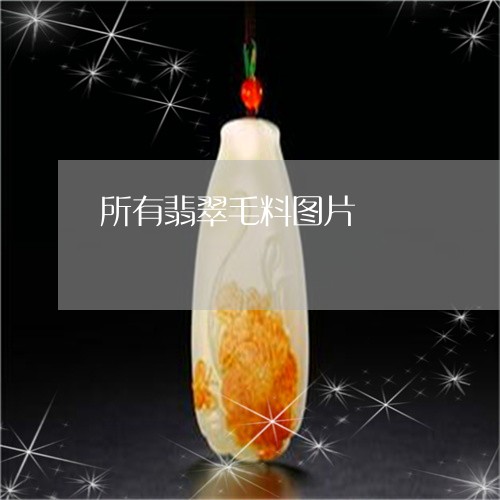 所有翡翠毛料图片/2023122126160