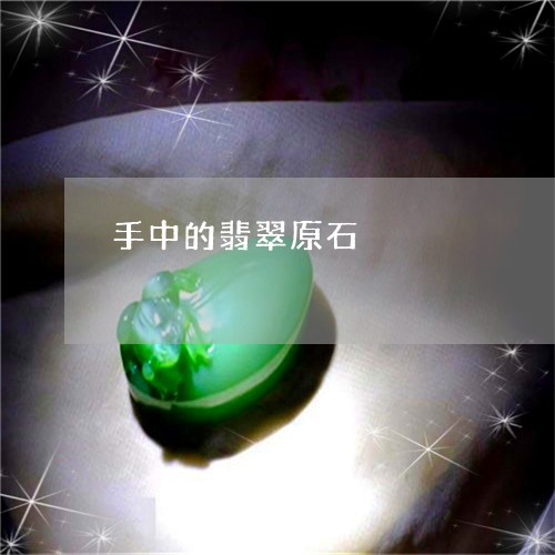 手中的翡翠原石/2023062328482