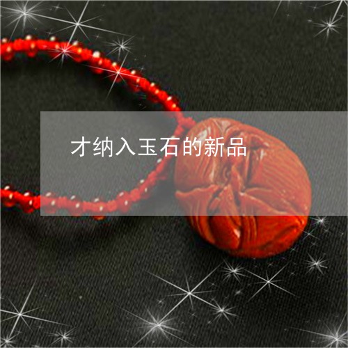 才纳入玉石的新品/2023092391814