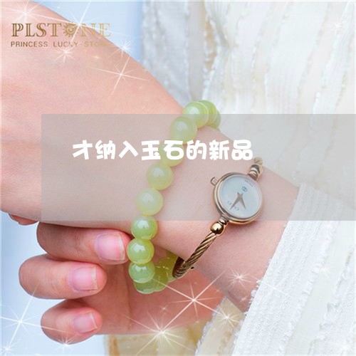 才纳入玉石的新品/2023122016957