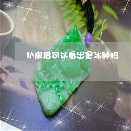 扒皮后可以看出是冰种吗/2023091262706