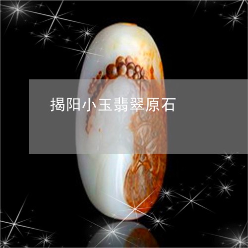 揭阳小玉翡翠原石/2023062185947