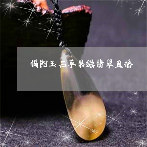 揭阳玉石苹果绿翡翠直播/2023070939369