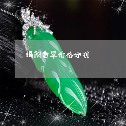 揭阳翡翠价格分划/2023122125989