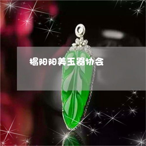 揭阳阳美玉器协会/2023052080504