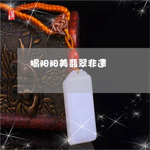 揭阳阳美翡翠非遗/2023122192705