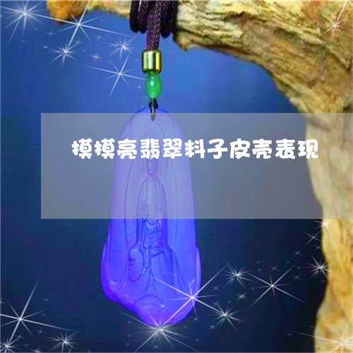 摸摸亮翡翠料子皮壳表现/2023052113717