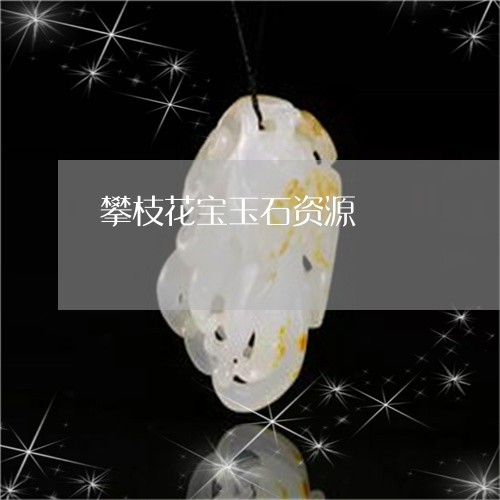 攀枝花宝玉石资源/2023122082514