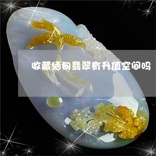 收藏缅甸翡翠有升值空间吗/2023073131826