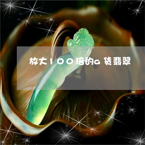 放大100倍的a货翡翠/2023052125057