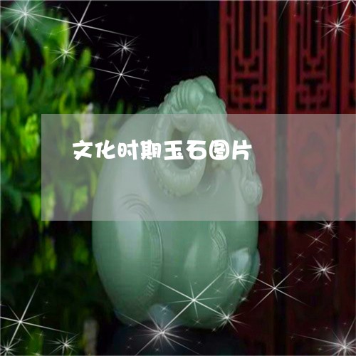 文化时期玉石图片/2023062070494