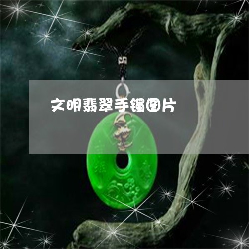 文明翡翠手镯图片/2023062042605