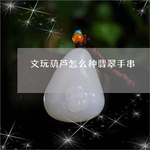 文玩葫芦怎么种翡翠手串/2023070935047