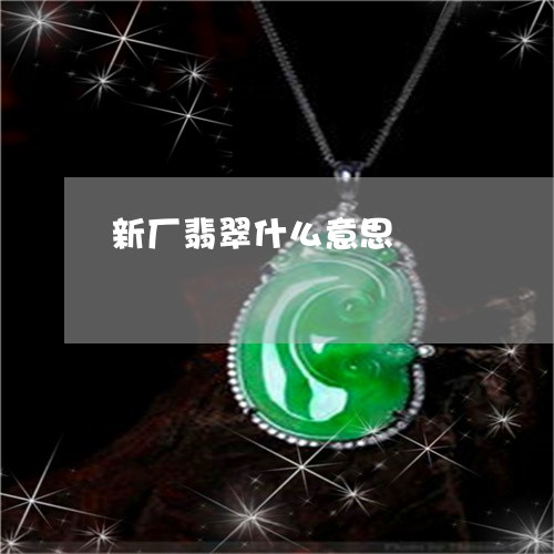 新厂翡翠什么意思/2023122199716