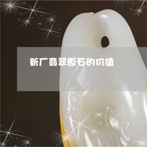 新厂翡翠原石的价值/2023032138460