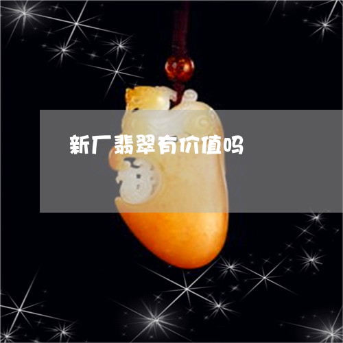 新厂翡翠有价值吗/2023122142705