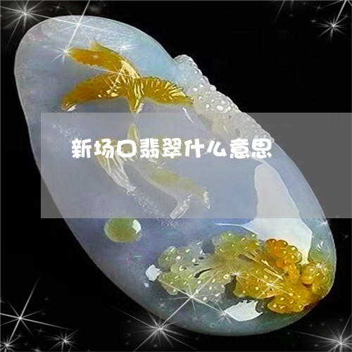 新场口翡翠什么意思/2023120315159