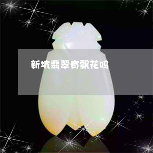 新坑翡翠有飘花吗/2023062152613