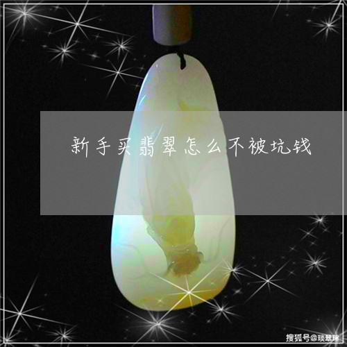 新手买翡翠怎么不被坑钱/2023070962734