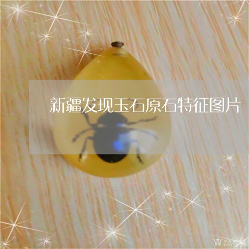 新疆发现玉石原石特征图片/2023073197249