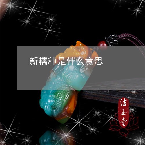 新糯种是什么意思/2023092314167