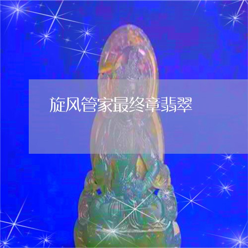 旋风管家最终章翡翠/2023120340694