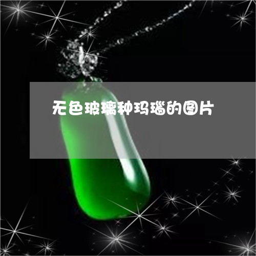 无色玻璃种玛瑙的图片/2023110771682