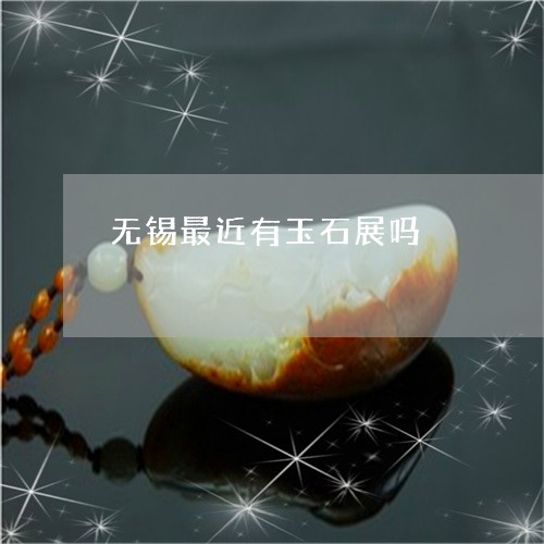 无锡最近有玉石展吗/2023082716840