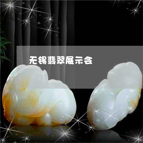 无锡翡翠展示会/2023062392949