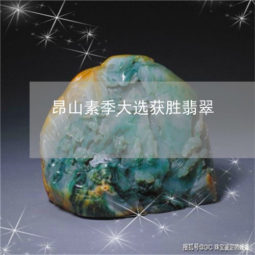 昂山素季大选获胜翡翠/2023110791728