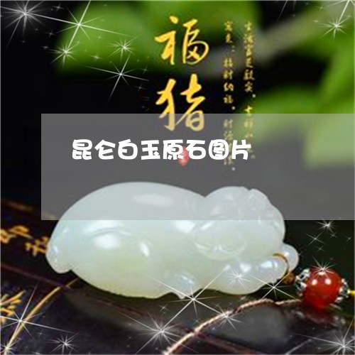 昆仑白玉原石图片/2023122191704