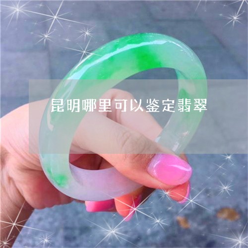 昆明哪里可以鉴定翡翠/2023051189523