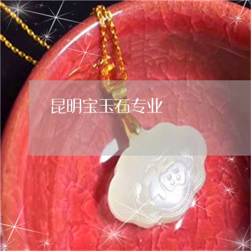 昆明宝玉石专业/2023062305046