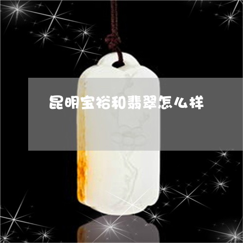 昆明宝裕和翡翠怎么样/2023110753504