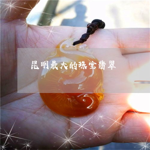 昆明最大的珠宝翡翠/2023120338412