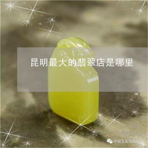 昆明最大的翡翠店是哪里/2023070931936