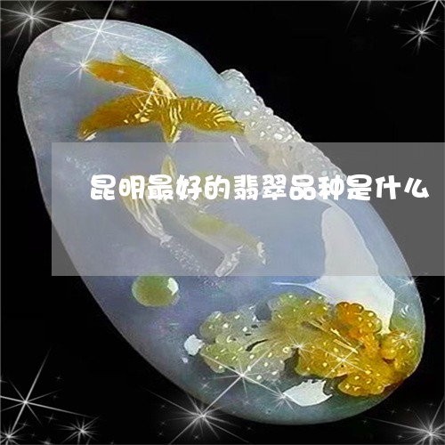 昆明最好的翡翠品种是什么/2023073072692