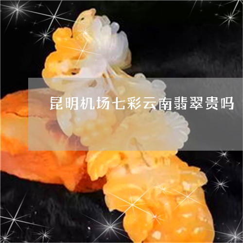 昆明机场七彩云南翡翠贵吗/2023073064057