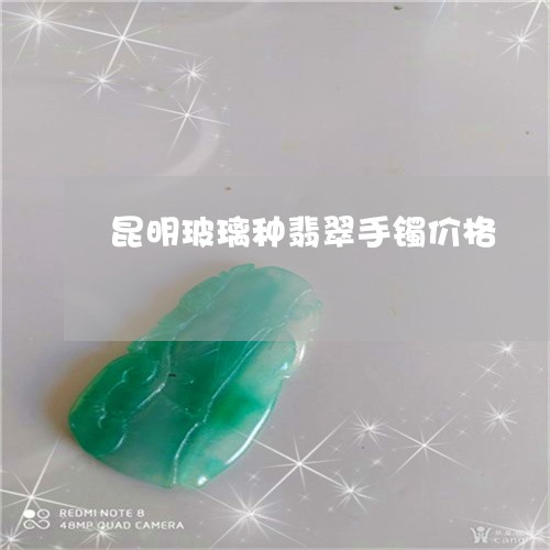 昆明玻璃种翡翠手镯价格/2023052174827