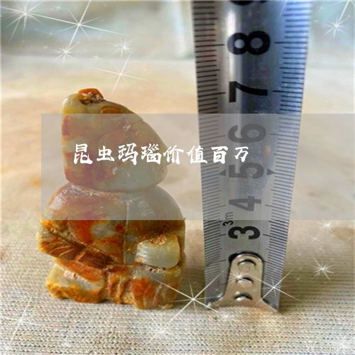 昆虫玛瑙价值百万/2023122050482