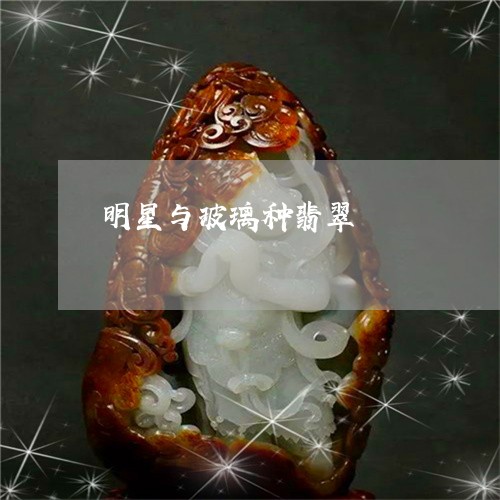 明星与玻璃种翡翠/2023122073859