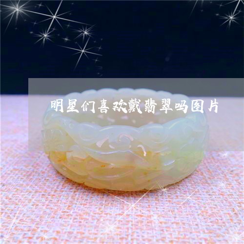 明星们喜欢戴翡翠吗图片/2023111615157